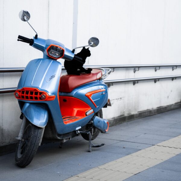 Pre Owned City Electric Moped for Daily Transportation